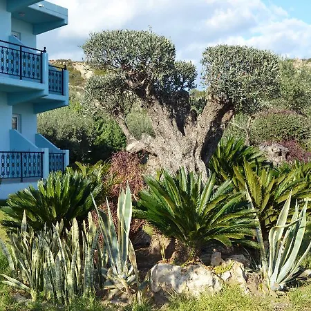 Argiro Village 3* Afantou