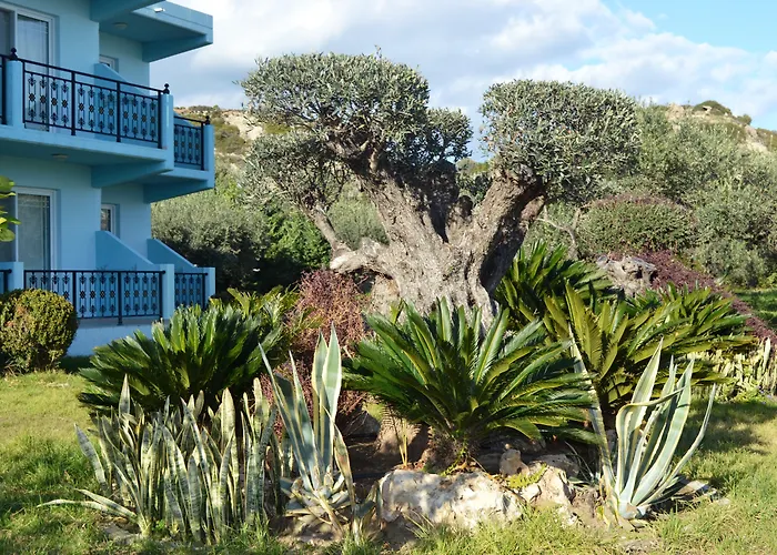 Argiro Village 3* אפאנטו