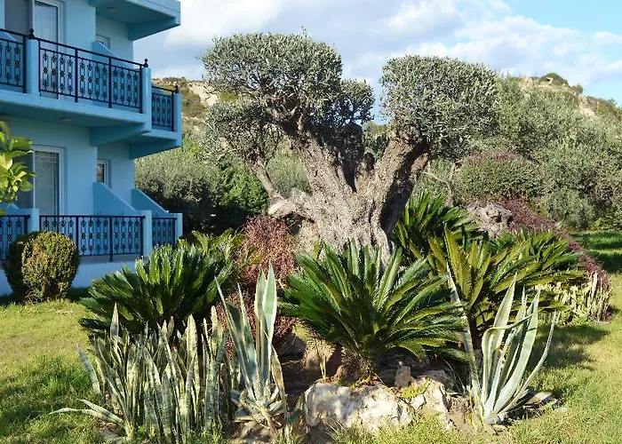 Argiro Village 4* Afandu